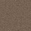 Cocoa