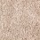 Pecan Shell
