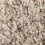 Poised Taupe