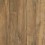 Toasted Chestnut