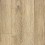 Canvas Oak