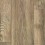 Gilded Oak