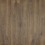 Cottonwood Oak