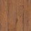 Twilight Oak