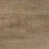 Nantucket Oak