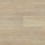 Ivory Coast Oak
