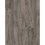 Galveston Oak