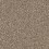 Sea Shell
