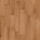 Butternut