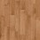 Butternut