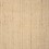 Plaster