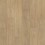 Stallion Hickory