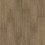 Clydesdale Hickory