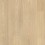 Sunbleached Oak