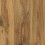 Cattail Pecan