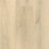 Golden Sand Oak