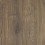 Cottonwood Oak