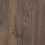 Rustic Forest Oak