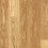 Tennessee Rye Oak