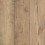 Fawn Chestnut