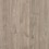 Asher Gray Oak