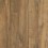 Toasted Chestnut