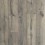 Lunar Oak