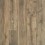 Gilded Oak