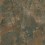 Canyon Shadow