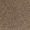 Buckskin