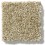 Dried Clay