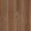 Unearthed