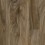 Driftwood