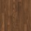 Amber Brown