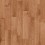 Redwood