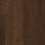 Burnt Umber