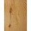 Gunstock