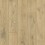 Almondine Oak