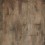 Chestnut