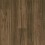 Intrigue Hickory