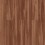 Sugar Maple