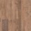 Navajo Oak