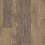 Parchment Oak