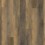 Amber Pine