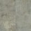 Cavernous Gray
