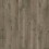Oyster Oak