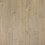 Sandstone Oak