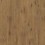 Brown Bark Oak