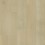 Parchment