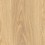 Acadia Oak